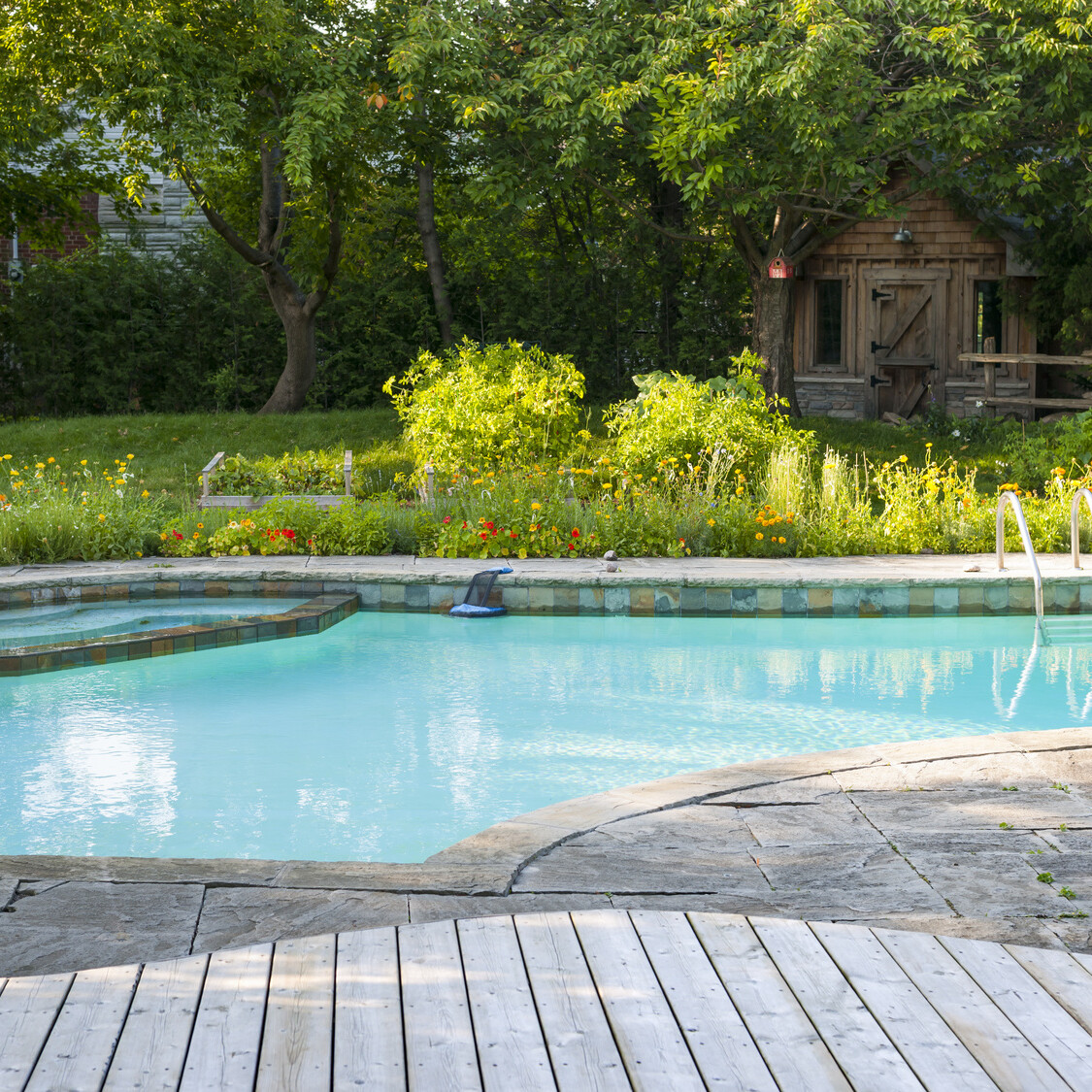 Backyard with outdoor in ground pool, garden, deck and stone patio mikula