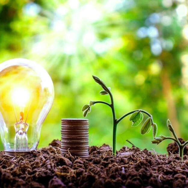 A lit light bulb partially buried in dirt next to a couple of plants