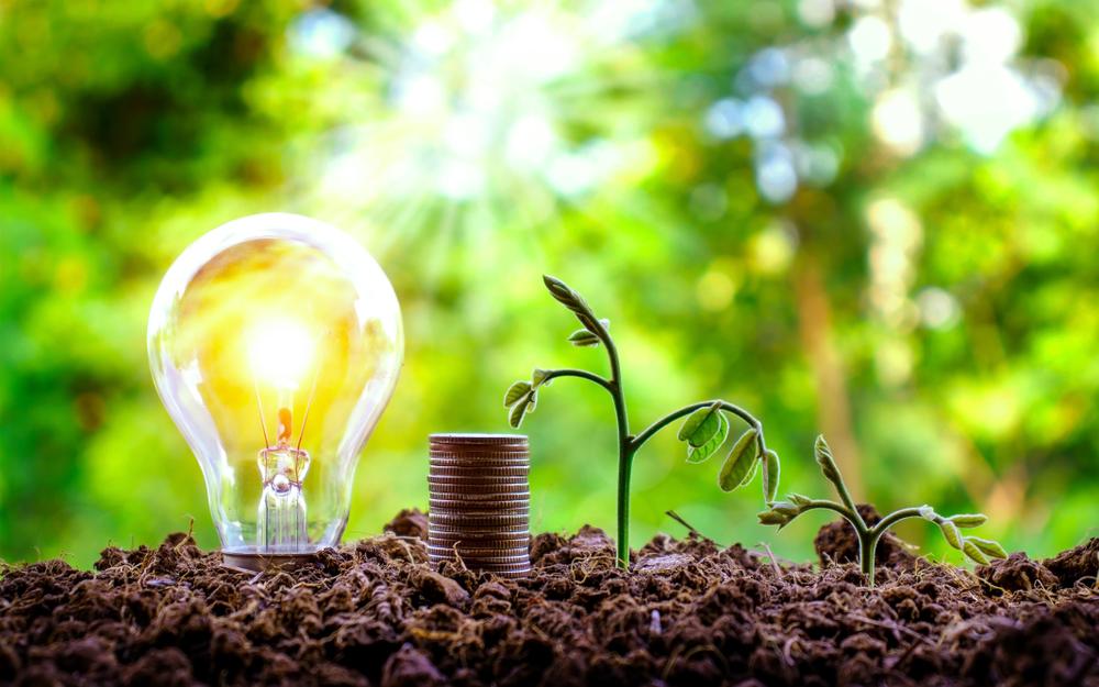 tea seed saponin supplier tea seed saponin supplier