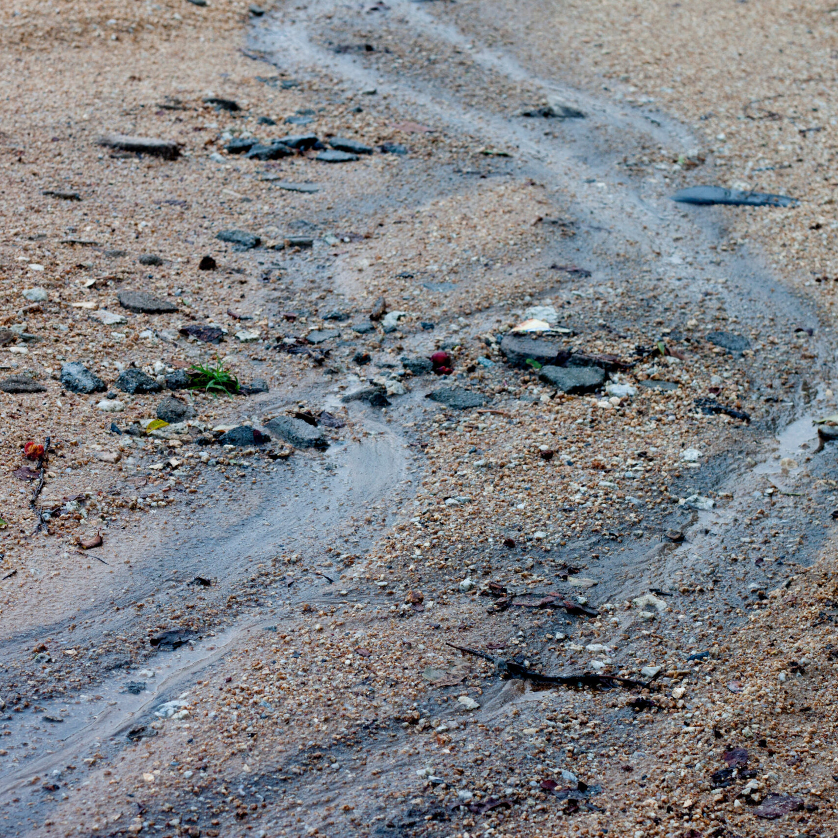 oil slick in dirt showing contaminated soil