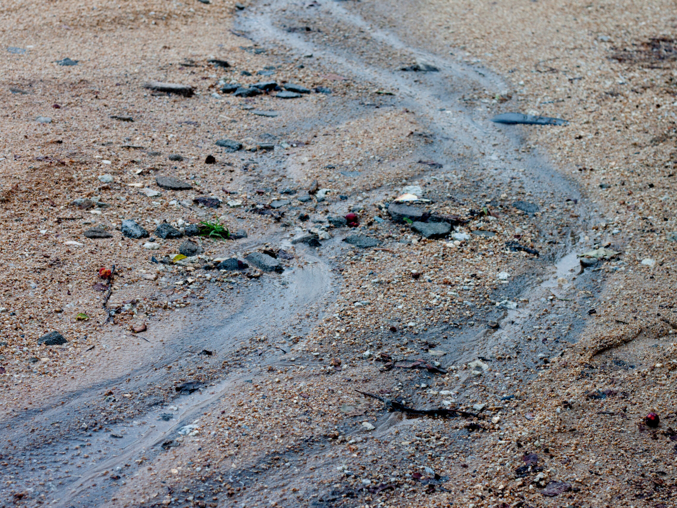 oil slick in dirt showing contaminated soil