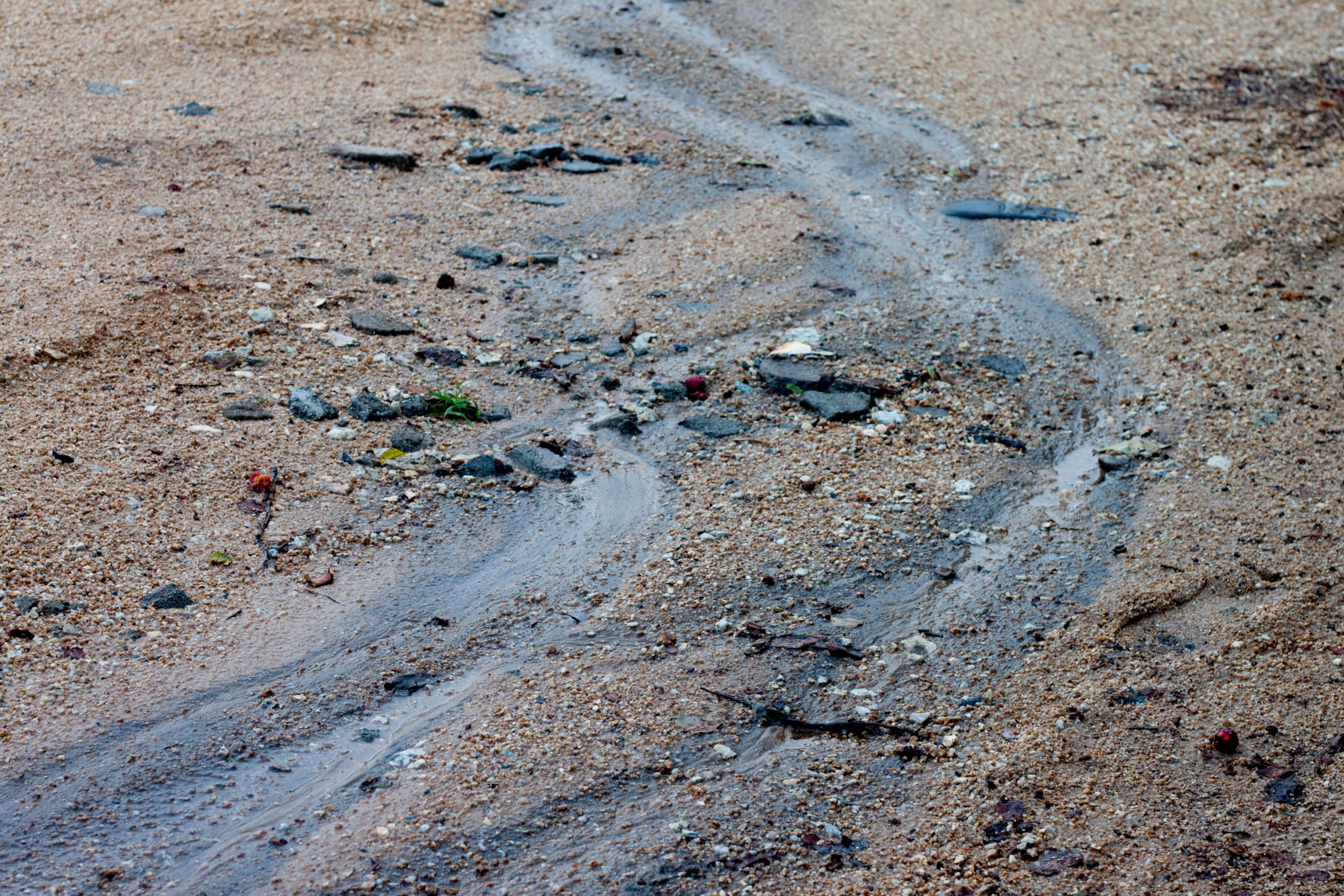 oil slick in dirt showing contaminated soil