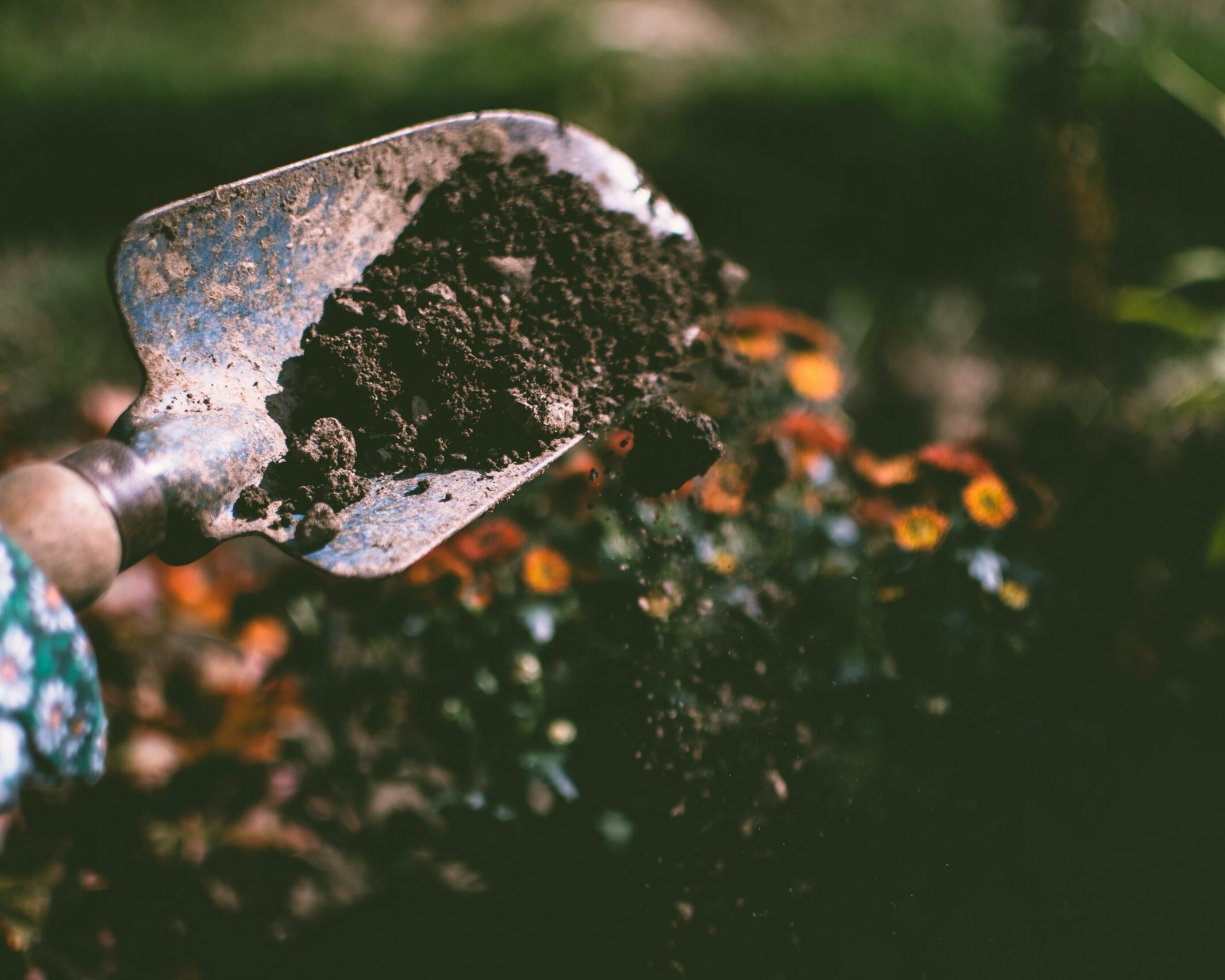 Person scooping up contaminated soil with a hand shovel