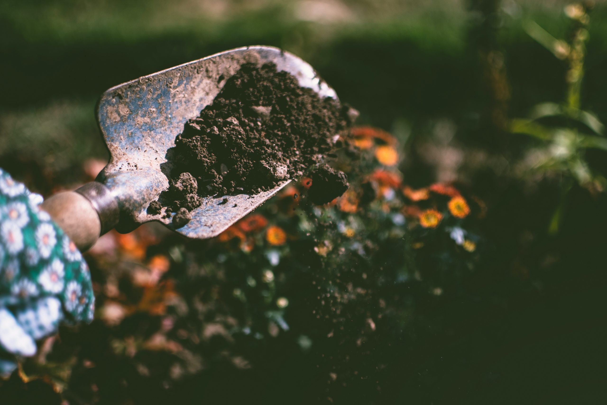 Person scooping up contaminated soil with a hand shovel