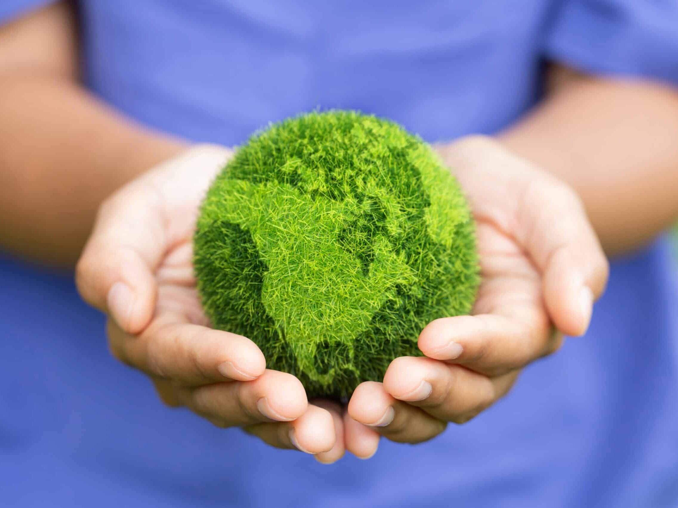 Women hands holding earth on green background.