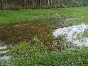 flooded yard or lawn with puddle and water and fence