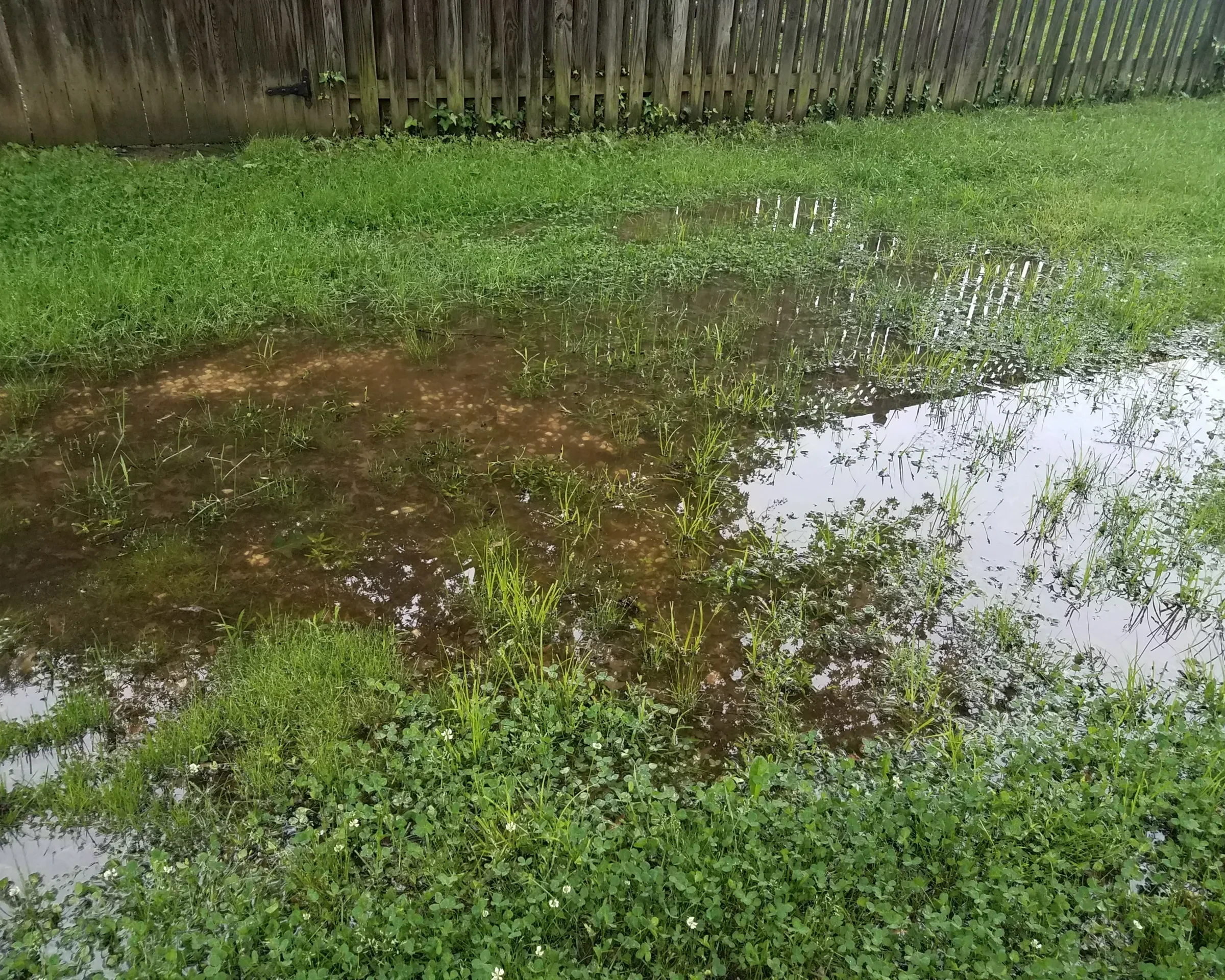 flooded yard or lawn with puddle and water and fence