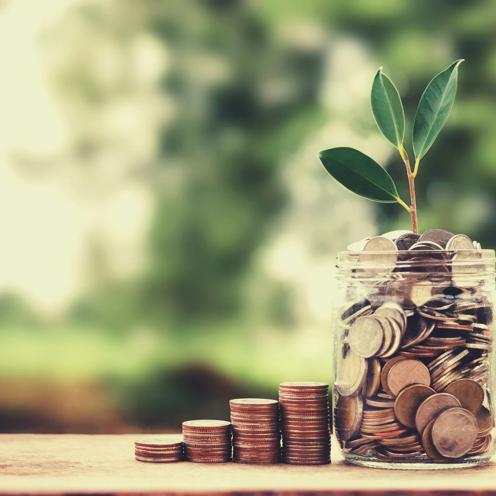 concept growth money and tree on coin glass jar saving and investment