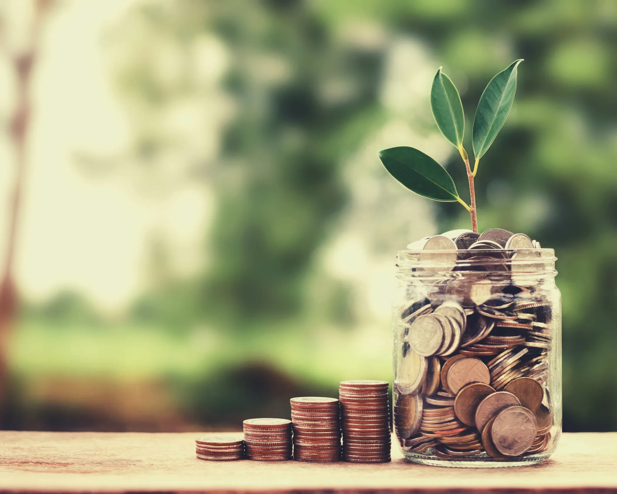 concept growth money and tree on coin glass jar saving and investment