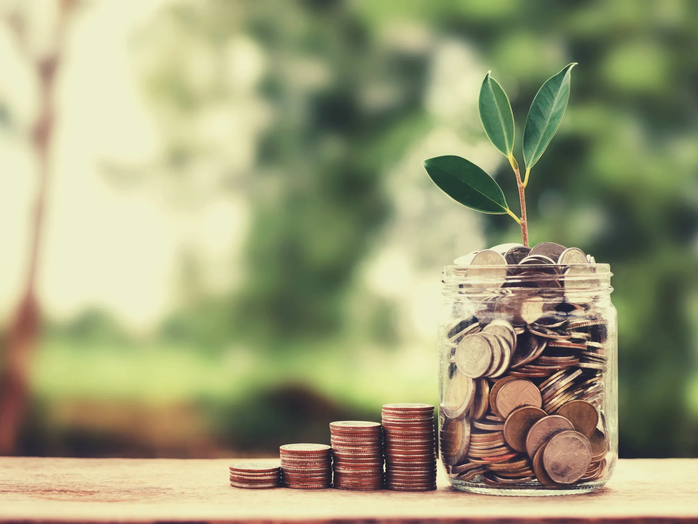 concept growth money and tree on coin glass jar saving and investment