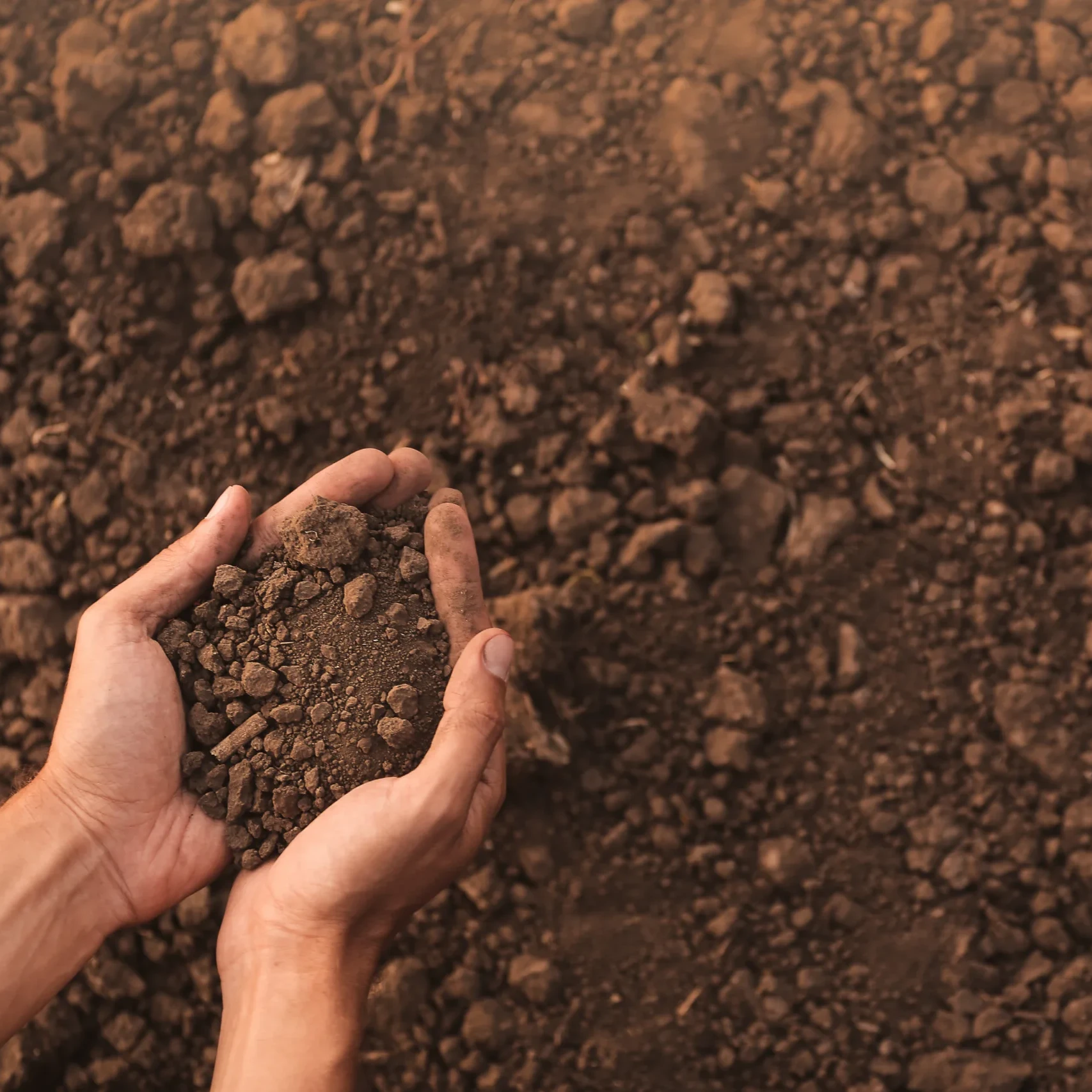 Male farmer with heap of soil in field, top view