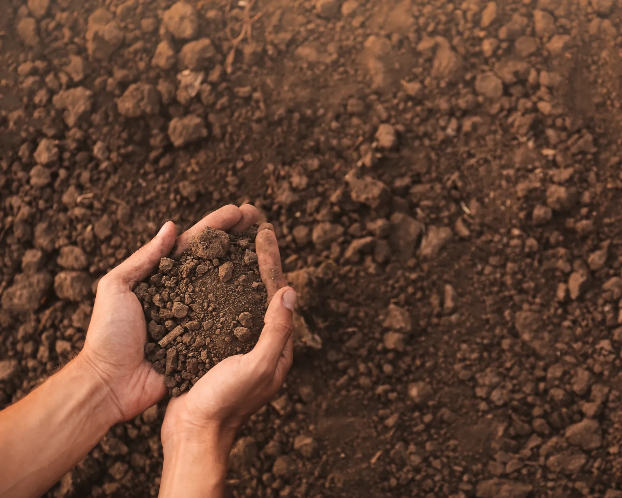 Male farmer with heap of soil in field, top view