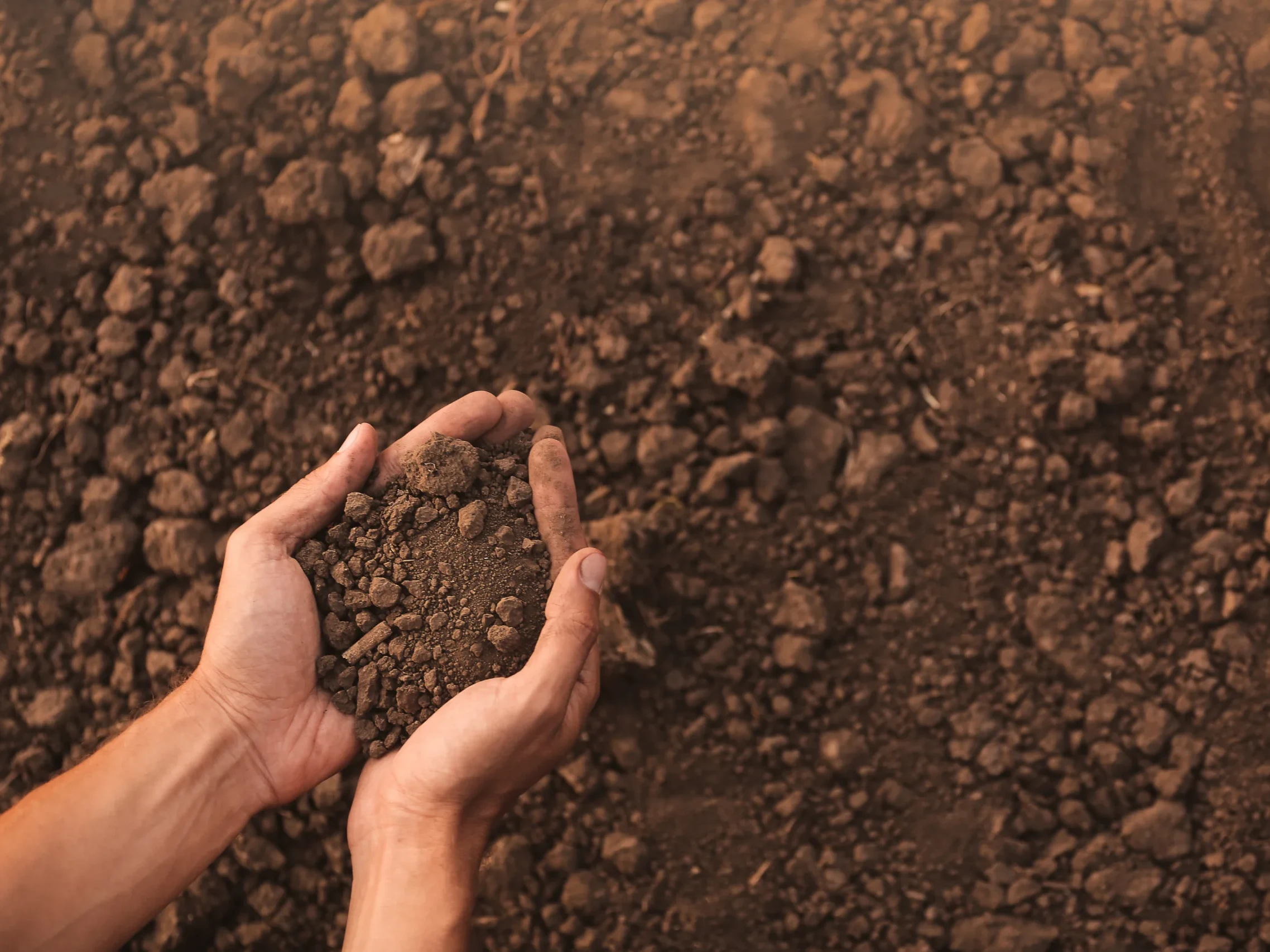 Male farmer with heap of soil in field, top view