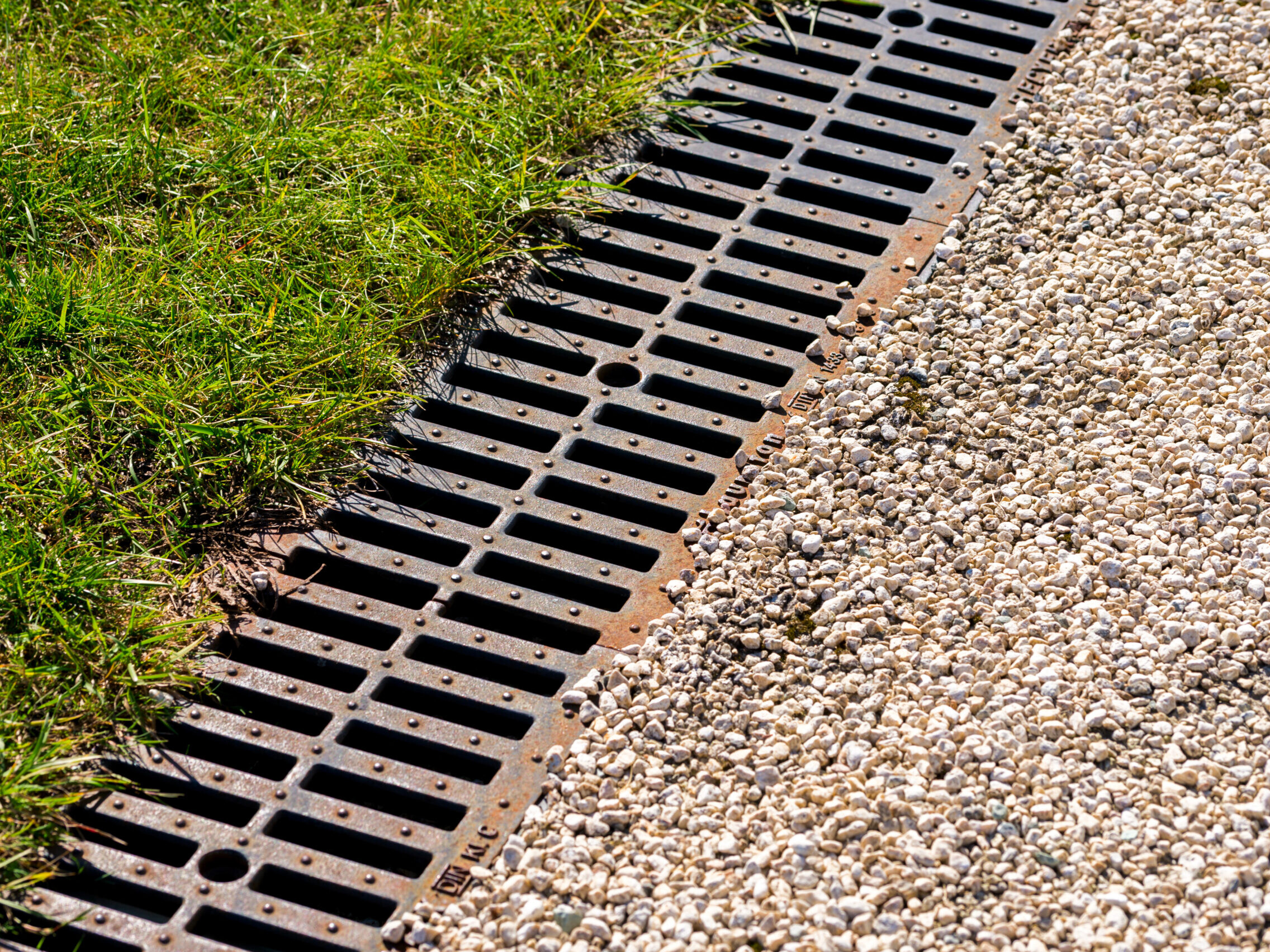 Drain grate